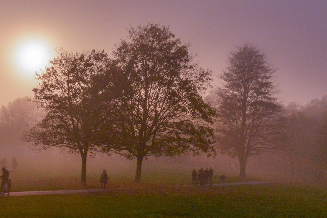person walking in park morning