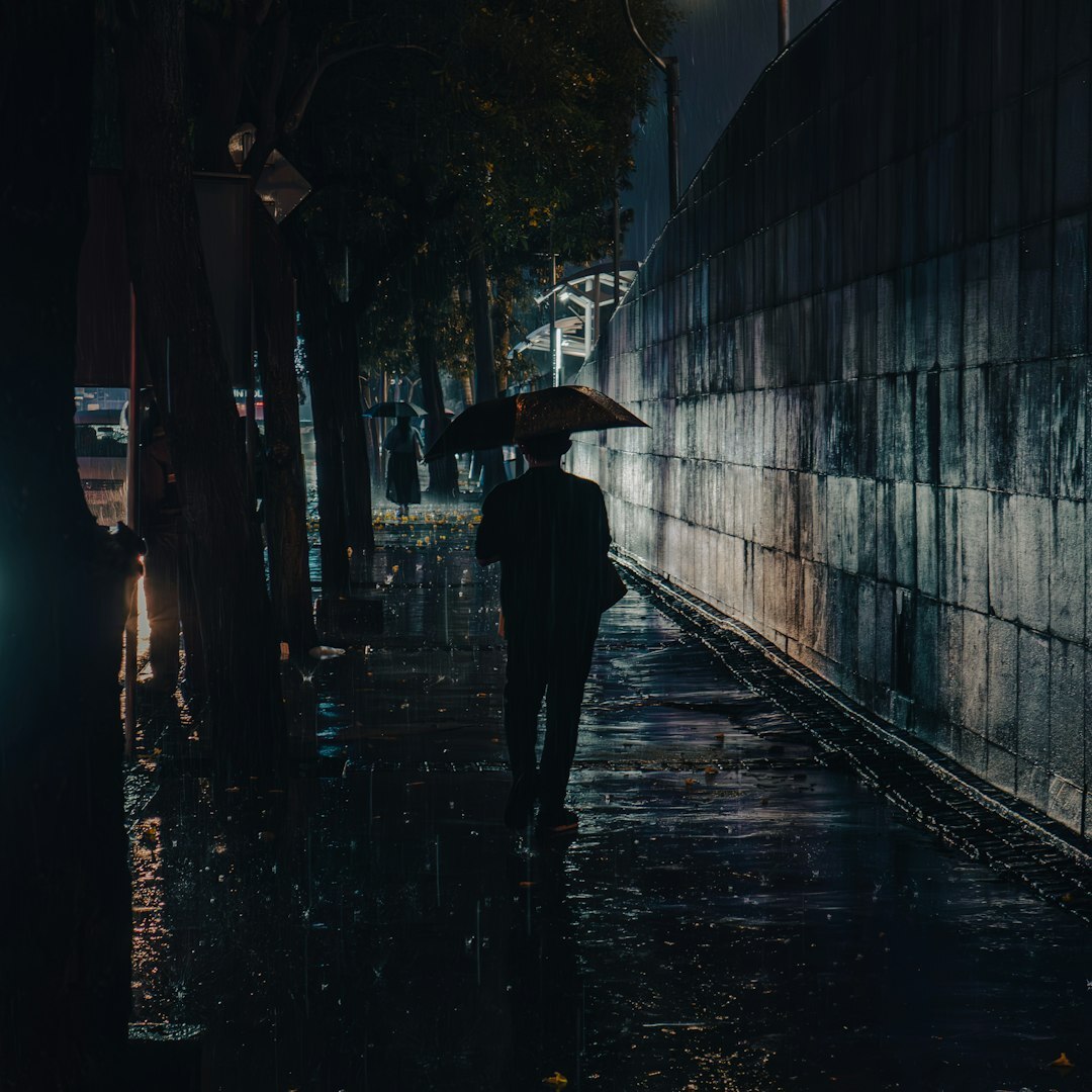 shadowy detective in rain